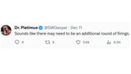 Social media users react as hundreds of Harvard faculties signed petition against Gay's removal (Image via X / @SWGaspar)